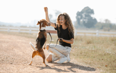 Quelle est la meilleure façon de dresser un chien ?