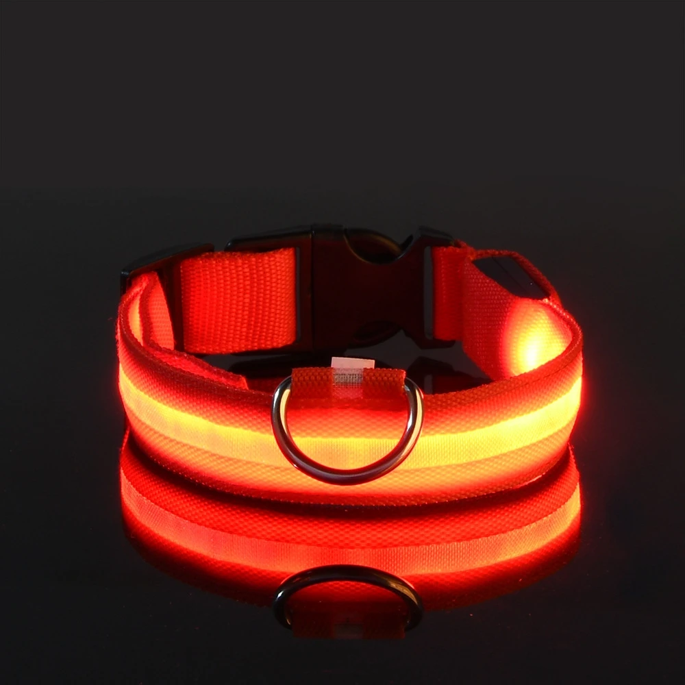 Collier LED lumineux pour chien, pour des promenades nocturnes sûres, visibles et sereines – Image 9