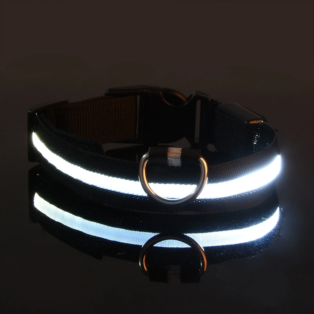 Collier LED lumineux pour chien, pour des promenades nocturnes sûres, visibles et sereines – Image 10