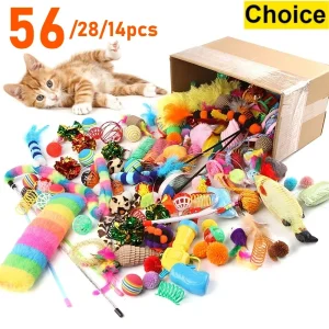 Offrez des heures de jeu et d’exercice à vos chats avec ce pack complet de jouets variés et colorés