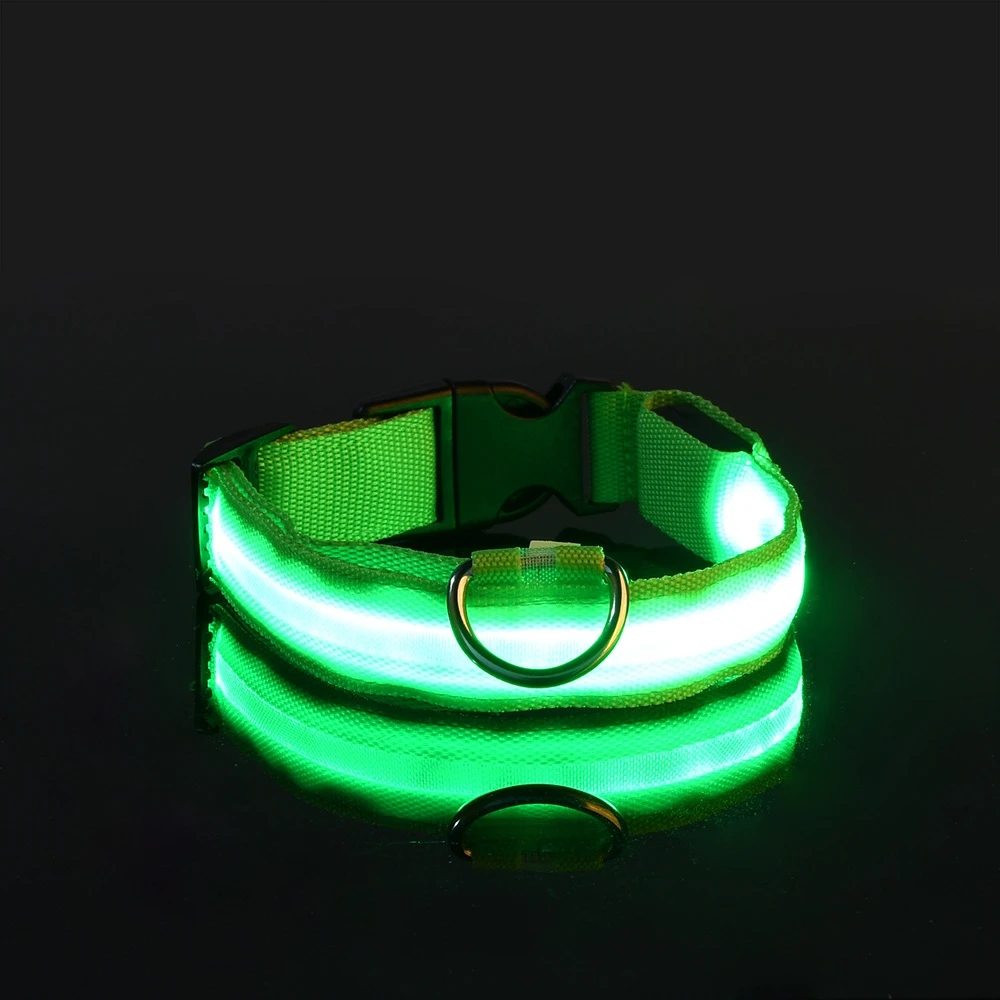 Collier LED lumineux pour chien, pour des promenades nocturnes sûres, visibles et sereines – Image 13
