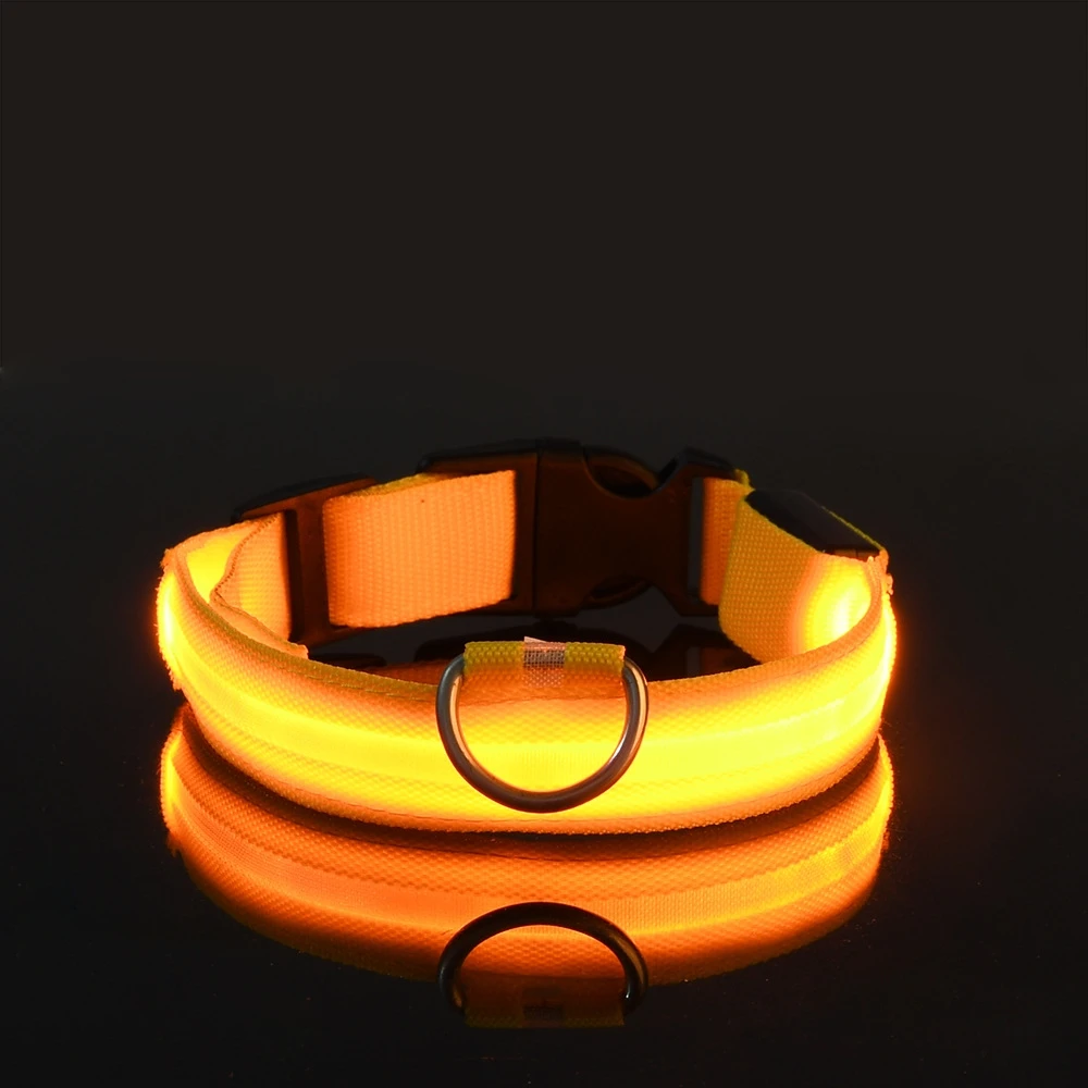 Collier LED lumineux pour chien, pour des promenades nocturnes sûres, visibles et sereines – Image 12