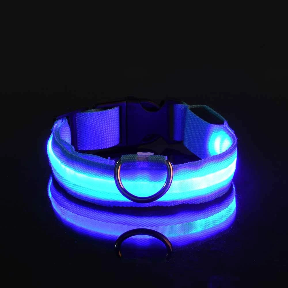 Collier LED lumineux pour chien, pour des promenades nocturnes sûres, visibles et sereines – Image 8