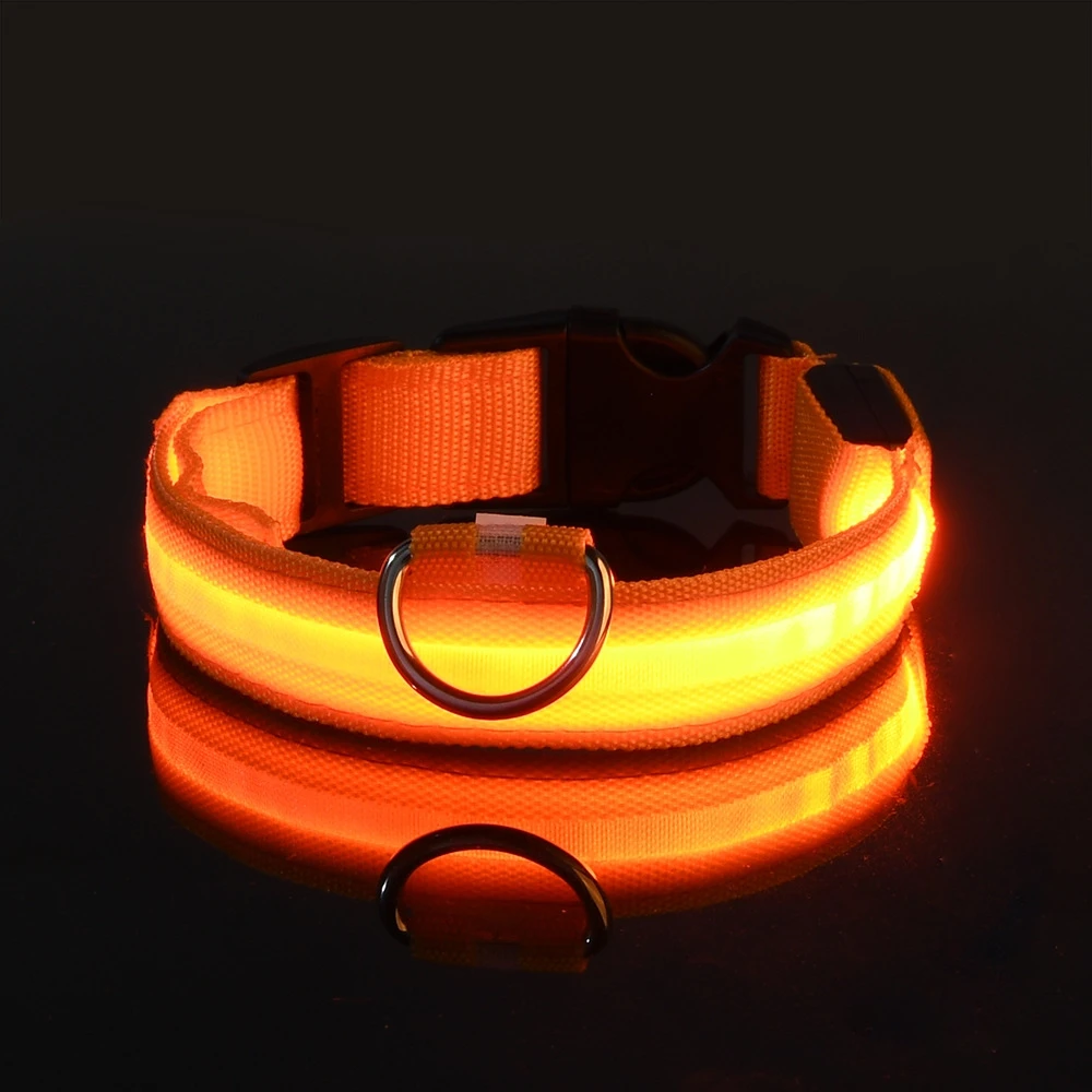 Collier LED lumineux pour chien, pour des promenades nocturnes sûres, visibles et sereines – Image 11