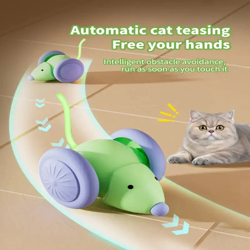 Balle automatique pour chats, stimule chasse et activité, rechargeable USB, amuse et divertit votre compagnon – Image 6