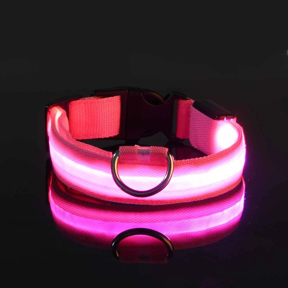 Collier LED lumineux pour chien, pour des promenades nocturnes sûres, visibles et sereines – Image 7