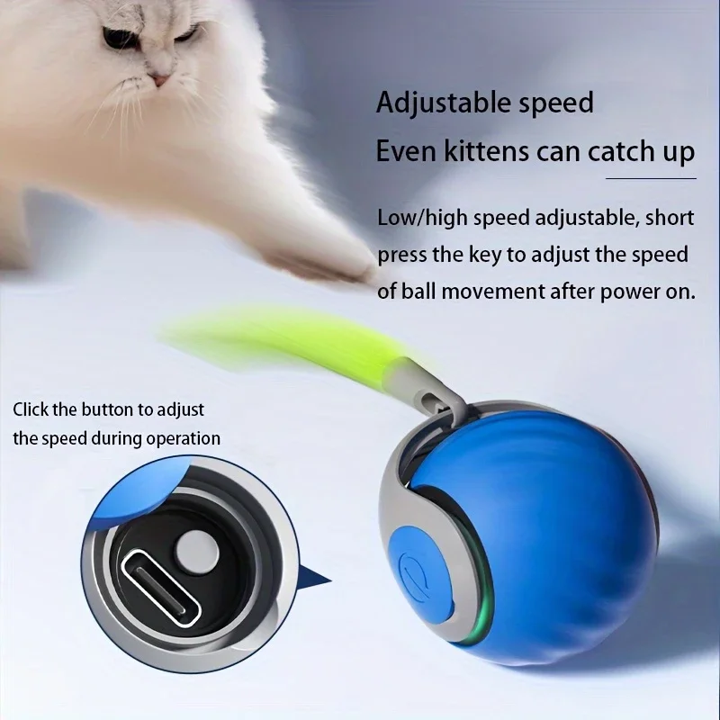 Balle automatique pour chats, stimule chasse et activité, rechargeable USB, amuse et divertit votre compagnon – Image 2